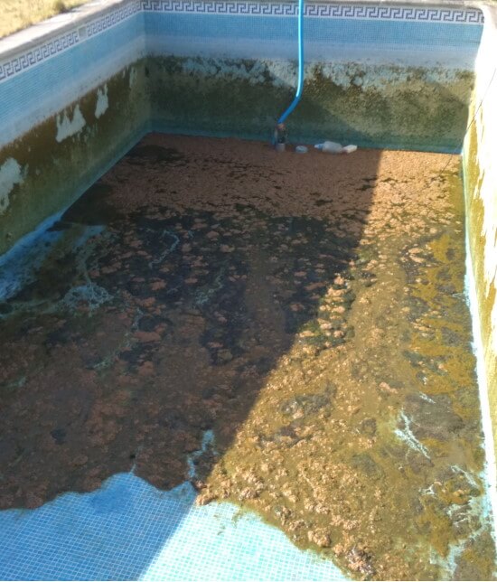 limpieza piscina madrid 